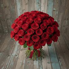 Букет 55 Красных роз Фридом #REPLACE_PRED# Берёзовской