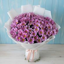 Букет цветов из:  Хризантемы #REPLACE_PRED# Берёзовской