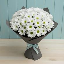 Букет цветов из:  Хризантемы в Берёзовской
