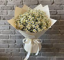 Букет цветов из:  Ромашки в Берёзовской