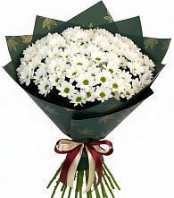Букет цветов из:  Хризантемы в Берёзовской