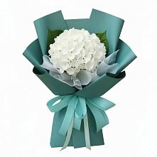 Букет цветов из:  Гортензия #REPLACE_PRED# Берёзовской